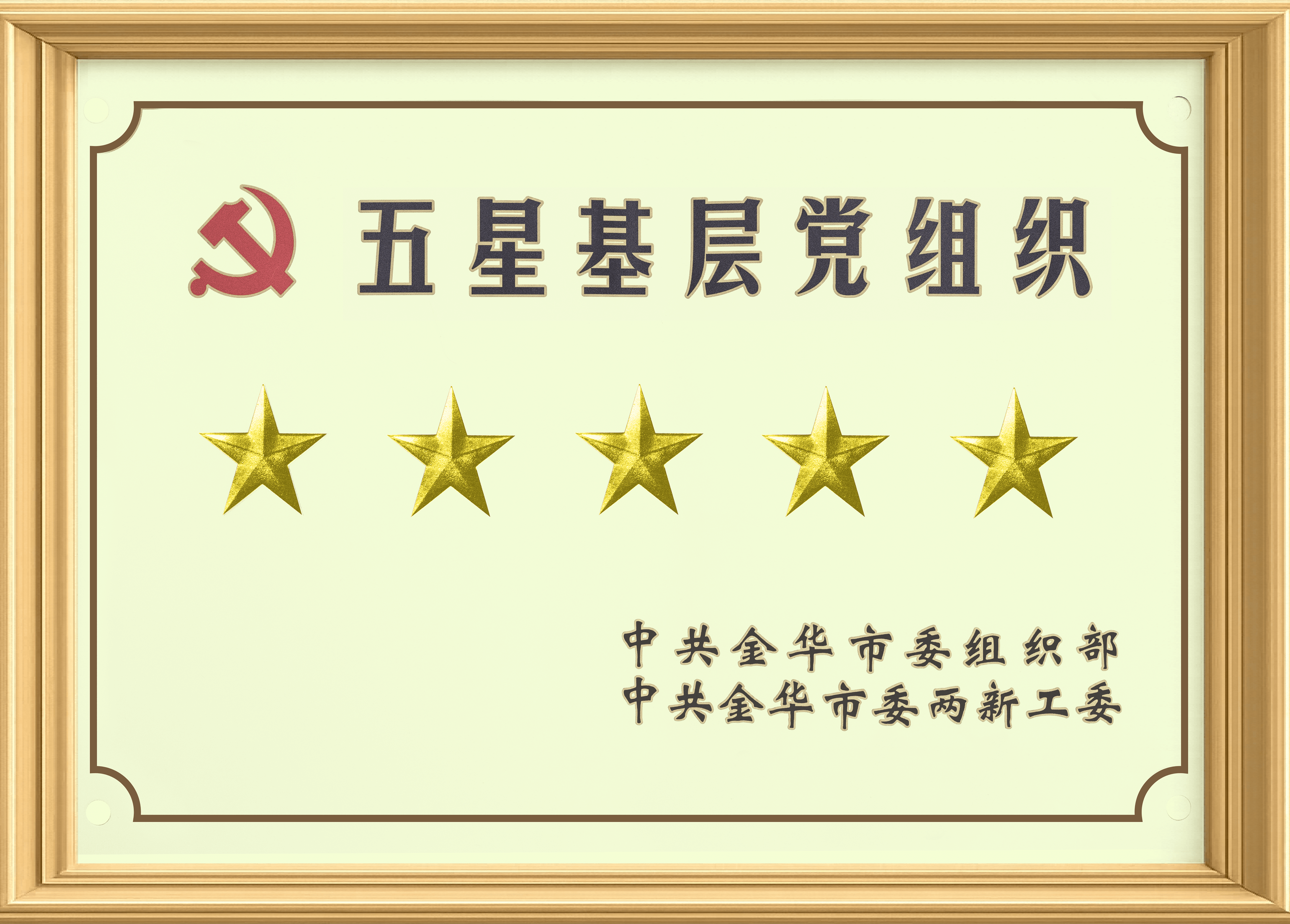 Five-Star Party Organization
