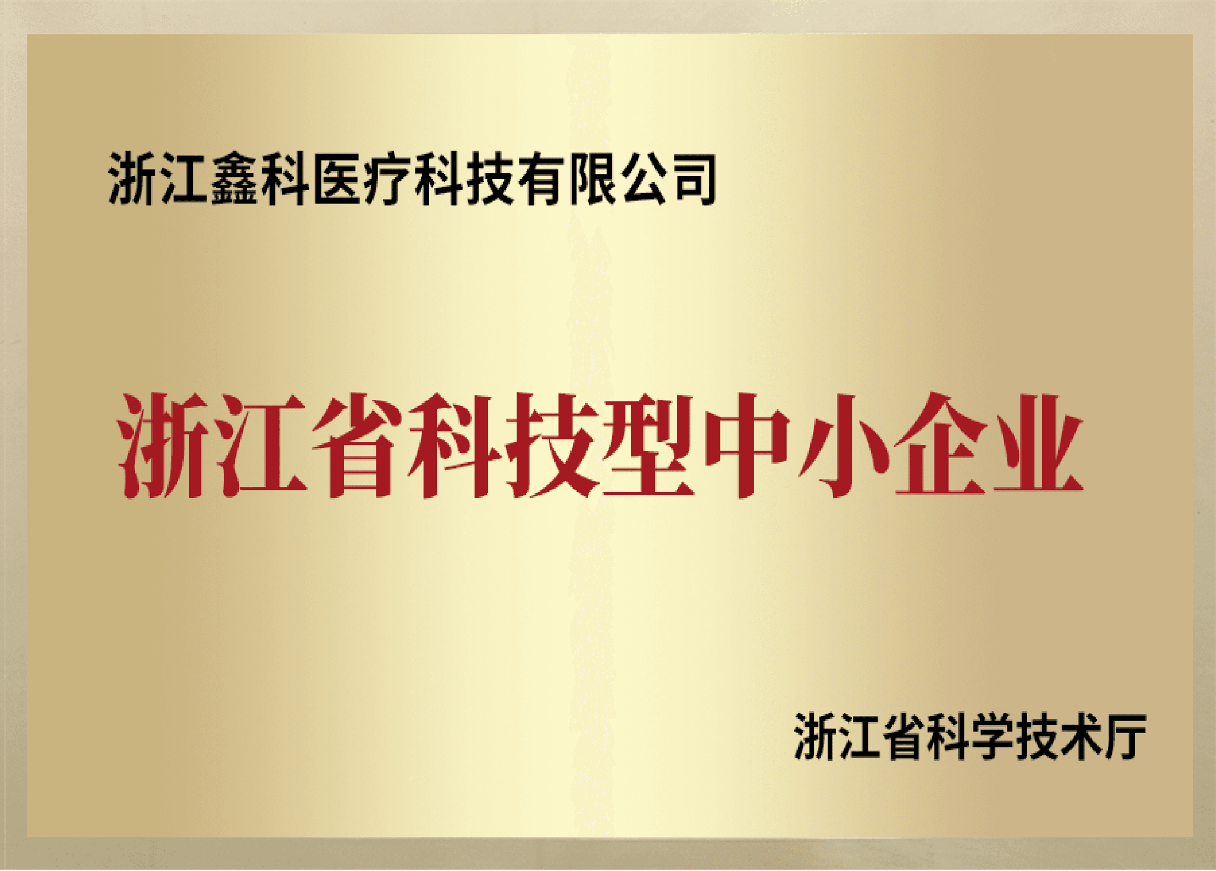 Zhejiang Technology-based SME